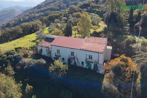 Fabbricato storico con terreno a Gioiosa Marea, C/