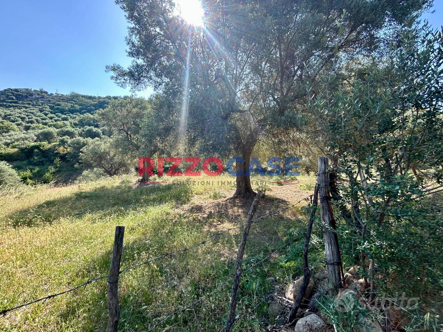 Terreno agricolo - Corigliano-Rossano - Altro