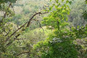 RGE 79/2024 Trib Pavia - LOTTO 5