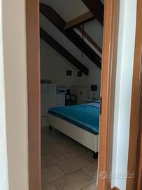 Trilocale centro Vercelli 