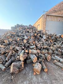 LEGNA DA ARDERE VERDE – DA STAGIONARE