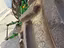 Immagine 18