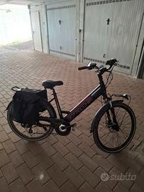 Bicicletta elettrica