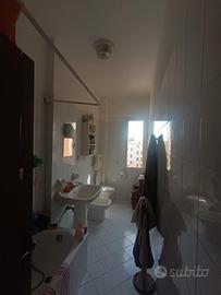 Posto in doppia in via del Borgo di San Pietro 99