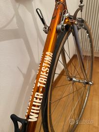 Wilier triestina RAMATA appena revisionata.