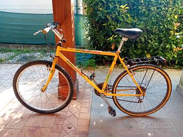 Montain bike uomo Legnago e Bicicletta donna
