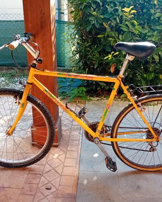 Montain bike uomo Legnago e Bicicletta donna