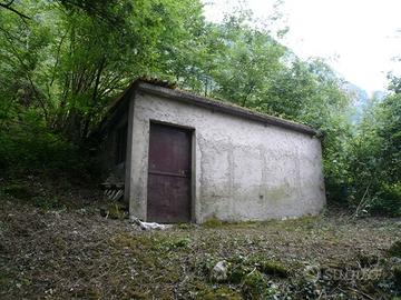 Terreno agricolo