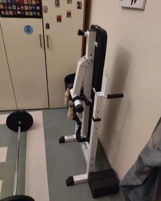  palestra per trasferimento 