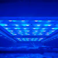 attrezzatura acquario 