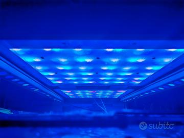 attrezzatura acquario 