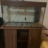 Acquario con mobiletto