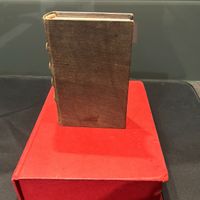 Libro - L'alma città di Roma