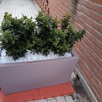 Fioriera / fioriere in plastica grigia