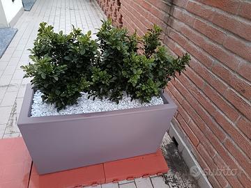 Fioriera / fioriere in plastica grigia