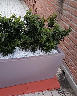 Fioriera / fioriere in plastica grigia