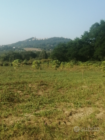 Vecchio Rustico con terreno panoramico