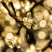 Coppia: EDG MELO FIORITO