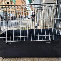 trasportino per auto 