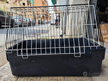 trasportino per auto 