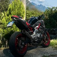 Kawasaki Z900 2019 A2  SC Project