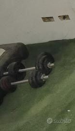 manubri con pesi 