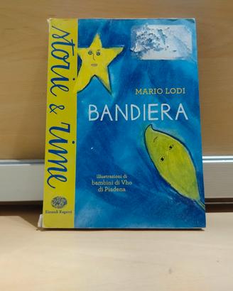 libro LA BANDIERA DI MARIO LODI