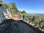 Immagine 21