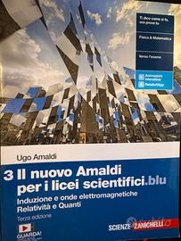 Il nuovo Amaldi per i licei scientifici.blu 3