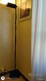 Piantana nera alogena