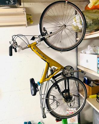 Bicicletta Kastle