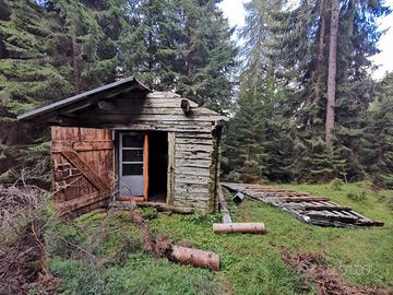 Tabià/Fienile con terreno