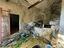 Immagine 11