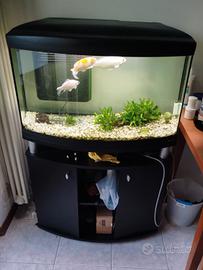 acquario Ferplast cayman 80 nero 150L