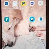 Motorola G14 steel gray,4/128,6.5 p,gar ita