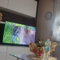 tv smart 55 pollic jutube wifi