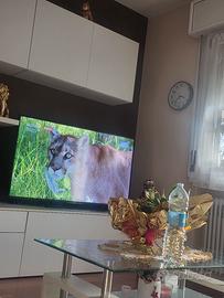 tv smart 55 pollic jutube wifi