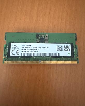 Memoria Ram DDR 5 8 Gb