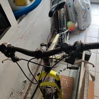 MTB carnielli Boys 24