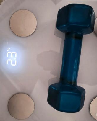 Manubrio da palestra da 2.3 kg