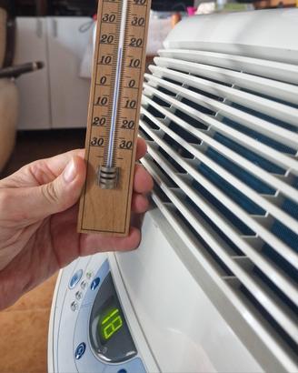 PINGUINO DeLonghi 8700 BTUs