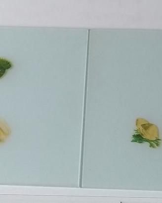 VETRI PER VETRINETTA ANNI '40