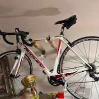 Ridley Fenix in carbonio