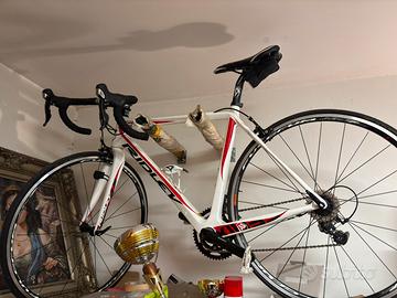 Ridley Fenix in carbonio