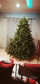 Albero di Natale imponente  230 cm di altezza