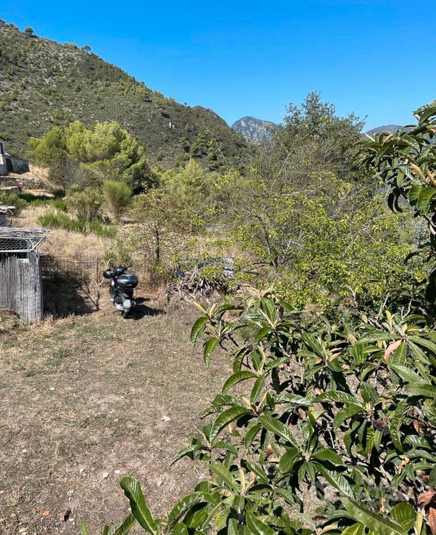 Terreno agricolo con magazzino - Vista 6