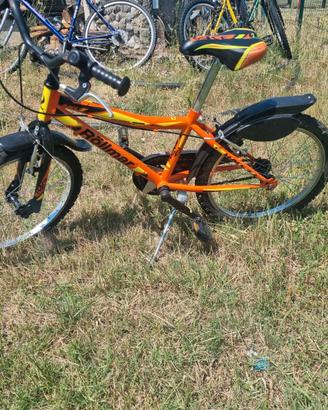 MTB Bici