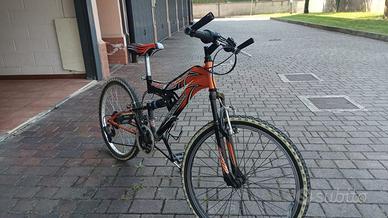 Bicicletta