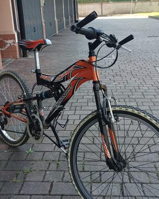 Bicicletta