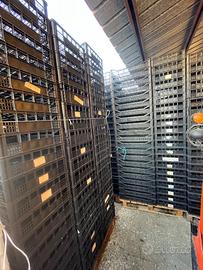 Cassette uso Ortofrutticolo